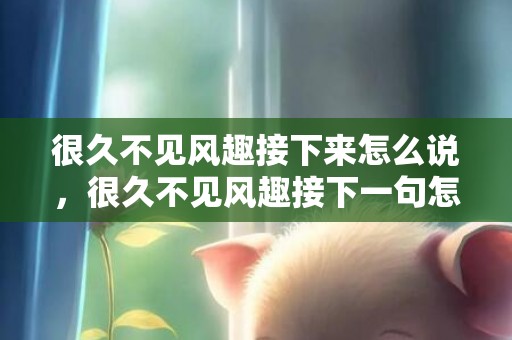 很久不见风趣接下来怎么说，很久不见风趣接下一句怎么说?