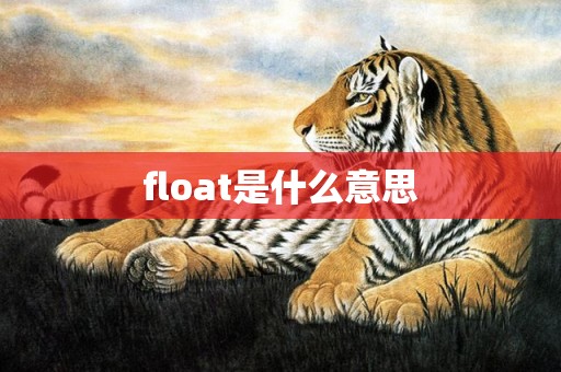 float是什么意思