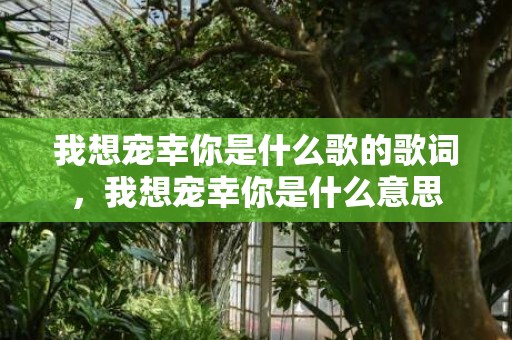 我想宠幸你是什么歌的歌词，我想宠幸你是什么意思