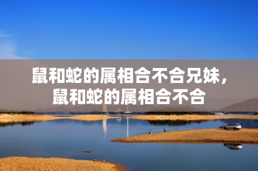 鼠和蛇的属相合不合兄妹，鼠和蛇的属相合不合