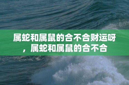属蛇和属鼠的合不合财运呀，属蛇和属鼠的合不合