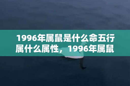 1996年属鼠是什么命五行属什么属性，1996年属鼠是什么命