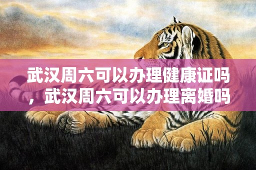 武汉周六可以办理健康证吗，武汉周六可以办理离婚吗