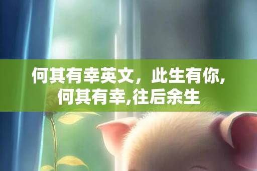 何其有幸英文，此生有你,何其有幸,往后余生