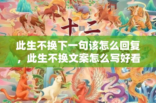 此生不换下一句该怎么回复，此生不换文案怎么写好看