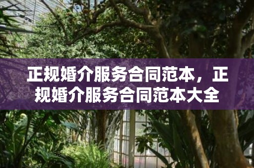 正规婚介服务合同范本，正规婚介服务合同范本大全