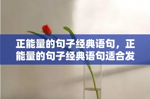 正能量的句子经典语句，正能量的句子经典语句适合发朋友圈晚安