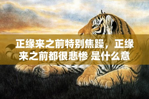 正缘来之前特别焦躁，正缘来之前都很悲惨 是什么意思
