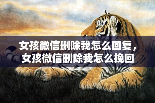 女孩微信删除我怎么回复，女孩微信删除我怎么挽回