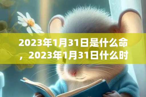 2023年1月31日是什么命，2023年1月31日什么时辰八字命好(2023年1月3日到今天有几天)