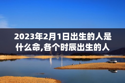2023年2月1日出生的人是什么命,各个时辰出生的人的命运(2023年2月18日农历是多少)