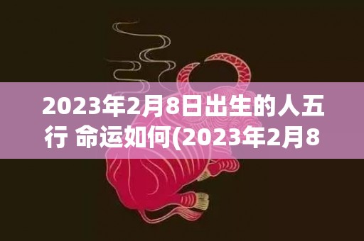 2023年2月8日出生的人五行 命运如何(2023年2月8号农历是多少)