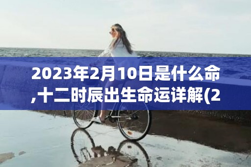 2023年2月10日是什么命,十二时辰出生命运详解(2023年2月10日农历是多少)