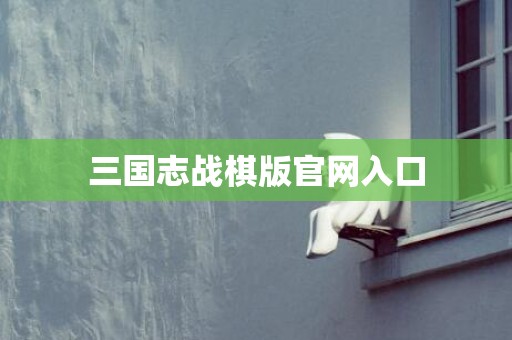 三国志战棋版官网入口
