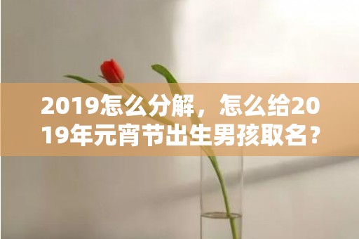 2019怎么分解，怎么给2019年元宵节出生男孩取名？八字起名