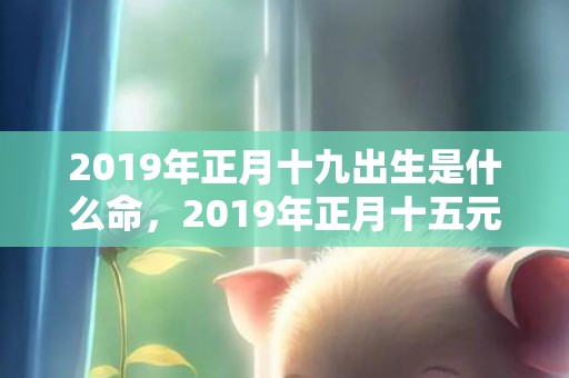 2019年正月十九出生是什么命，2019年正月十五元宵节出生的女孩起名怎么起好听？