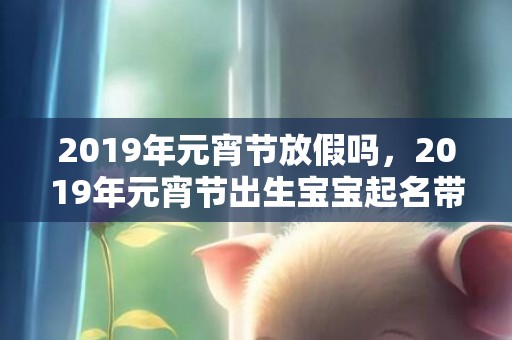 2019年元宵节放假吗，2019年元宵节出生宝宝起名带什么字好？有何宜用字吗？