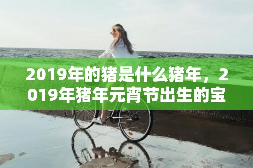 2019年的猪是什么猪年，2019年猪年元宵节出生的宝宝乳名起名大全