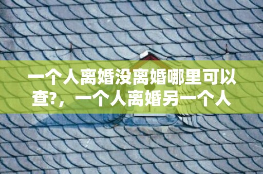 一个人离婚没离婚哪里可以查?，一个人离婚另一个人不想离婚，一个人离婚一个人不离怎么办