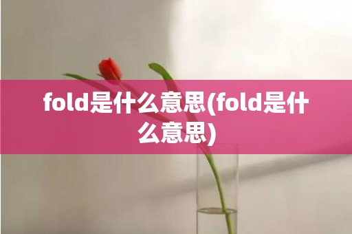 fold是什么意思(fold是什么意思)