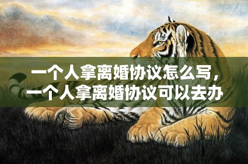 一个人拿离婚协议怎么写，一个人拿离婚协议可以去办理吗，离婚协议自己写还是律师写