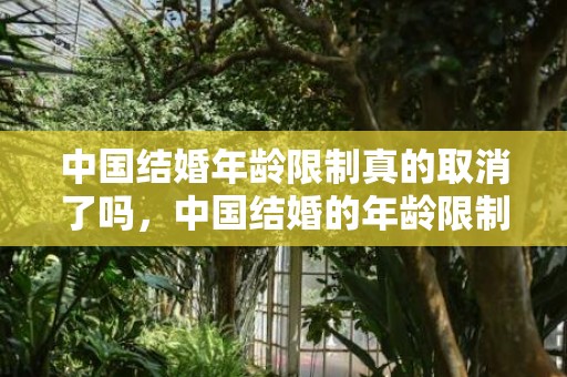 中国结婚年龄限制真的取消了吗，中国结婚的年龄限制在多少岁 结婚证年龄要求