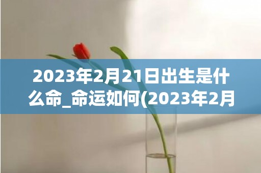 2023年2月21日出生是什么命_命运如何(2023年2月26号是农历几月几日)