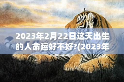 2023年2月22日这天出生的人命运好不好?(2023年2月23日是什么日子)