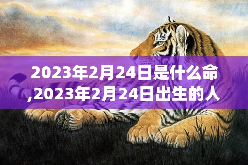 2023年2月24日是什么命,2023年2月24日出生的人命运(2023年2月21号是农历多少)