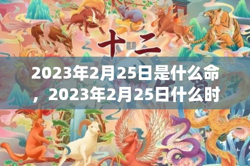 2023年2月25日是什么命，2023年2月25日什么时辰八字命好(2023年2月28日黄历)