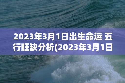 2023年3月1日出生命运 五行旺缺分析(2023年3月1日至今多少天)