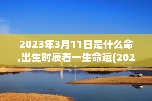 2023年3月11日是什么命,出生时辰看一生命运(2023年3月1日天气)