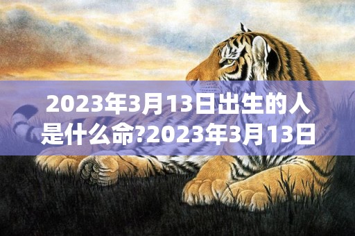 2023年3月13日出生的人是什么命?2023年3月13日生辰八字好吗(2023年3月1日天气)