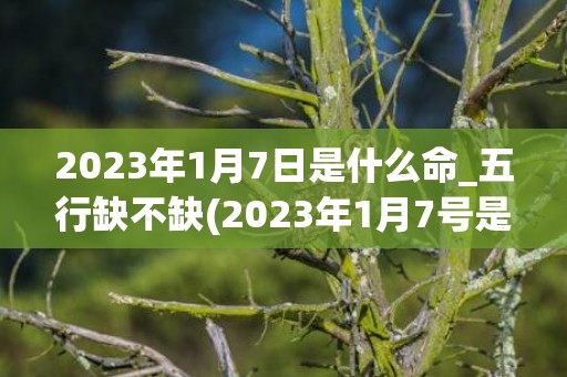 2023年1月7日是什么命_五行缺不缺(2023年1月7号是什么星座)