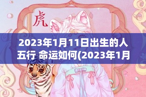 2023年1月11日出生的人五行 命运如何(2023年1月12日农历是多少)