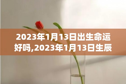 2023年1月13日出生命运好吗,2023年1月13日生辰八字怎么样(2023年1月1日农历是多少)