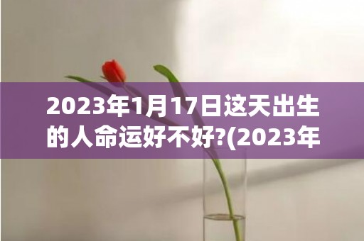 2023年1月17日这天出生的人命运好不好?(2023年1月10日农历是多少)