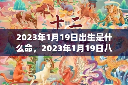 2023年1月19日出生是什么命，2023年1月19日八字命理解析(2023年1月11日农历是多少)