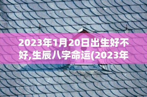 2023年1月20日出生好不好,生辰八字命运(2023年1月20日)