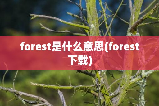 forest是什么意思(forest下载)