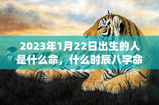 2023年1月22日出生的人是什么命，什么时辰八字命好(2023年1月29日农历是多少)