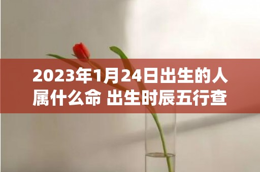 2023年1月24日出生的人属什么命 出生时辰五行查询(2023年1月29日农历是多少)