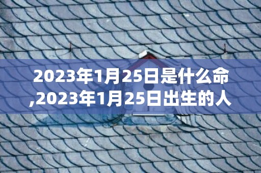 2023年1月25日是什么命,2023年1月25日出生的人命运(2023年1月29日农历是多少)