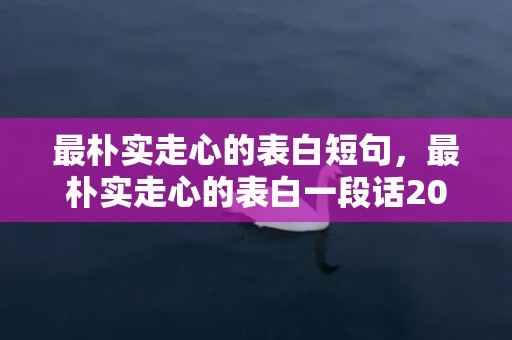 最朴实走心的表白短句，最朴实走心的表白一段话200字怎么写的呀
