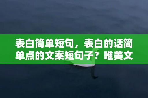 表白简单短句，表白的话简单点的文案短句子？唯美文案句子