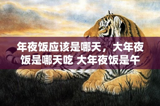 年夜饭应该是哪天，大年夜饭是哪天吃 大年夜饭是午时吃仍是晚上吃