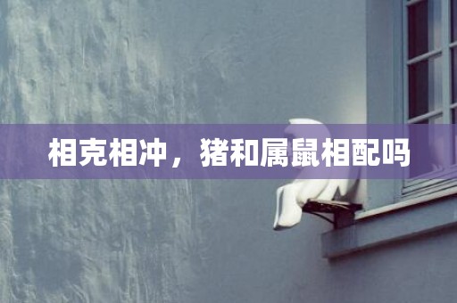 相克相冲，猪和属鼠相配吗