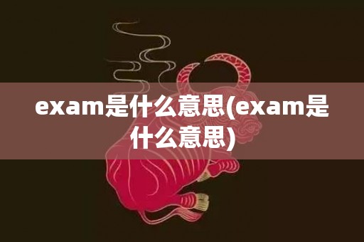 exam是什么意思(exam是什么意思)