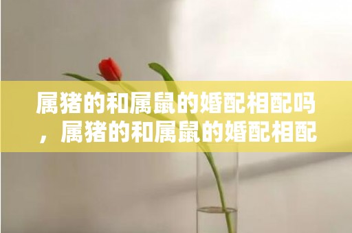 属猪的和属鼠的婚配相配吗，属猪的和属鼠的婚配相配吗