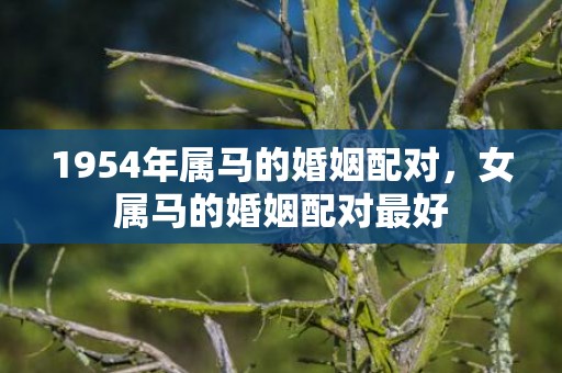 1954年属马的婚姻配对，女属马的婚姻配对最好